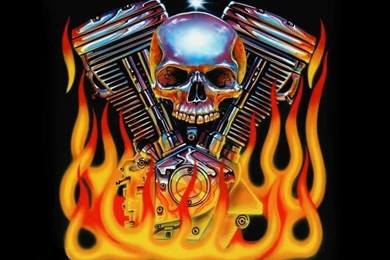 Free Skull Wallpapers Downloads_hd Wallpaper_download Free Wallpapers