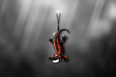 137 Wallpapers Of Ubuntu 13.10 Saucy Salamander Wallpapers Contest ...