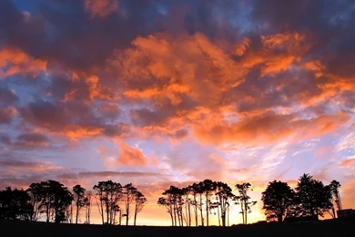 Backgrounds For Desktop Desktop Backgrounds