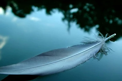 40 Cool Free Desktop Backgrounds