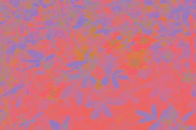 Bright Backgrounds By PaulineMoss On DeviantArt