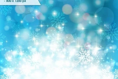 Winter Bright Backgrounds Vector