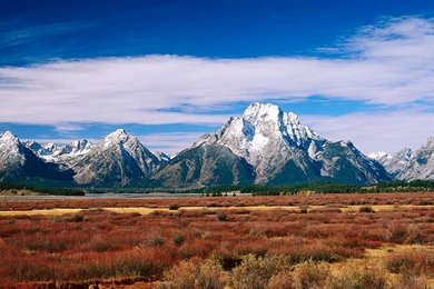 iPhone 5 Panorama Wallpapers HD