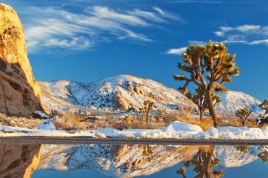 iPhone 5s Wallpapers