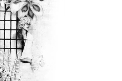 Gintama   Gintama Wallpapers (2839609)   Fanpop