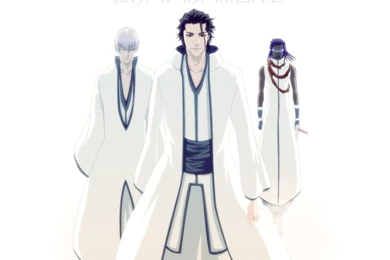 Back In White Epic   Bleach Anime Wallpapers (21040651)   Fanpop