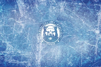 Ice Medvescak Zagreb Logo Wallpapers HD