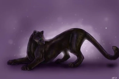 DeviantArt: More Like Panther Wallpapers By Puppy Chow