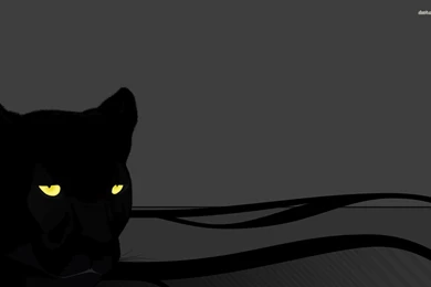 Black Panther Wallpapers   Vector Wallpapers