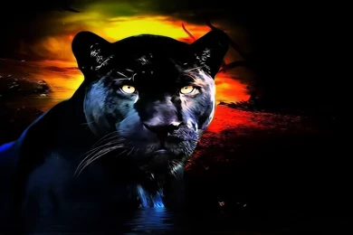 23 Panther HD Wallpapers