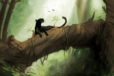 Panther Wallpapers >> Backgrounds With Quality HD