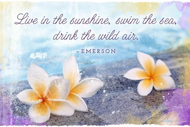 Downloadable Summer Desktop Backgrounds Archives   Blue Mountain Blog