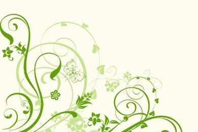 Green Swirls Ornament On White Backgrounds Vector
