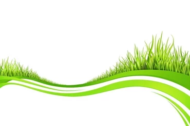 Spring Fresh Plant Grasses Ppt Templates Backgrounds   Green ...