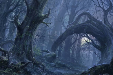 Fantasy Forest Wallpapers