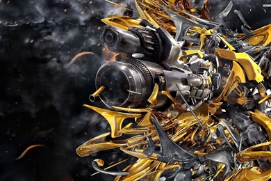 Bumblebee Wallpapers Free Download