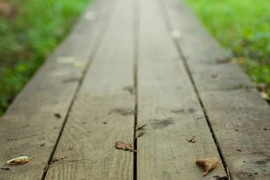 Home iPhone 5s Wallpapers