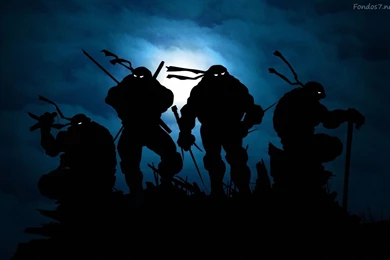 Ninja Turtles Wallpapers Widescreen 520 Best