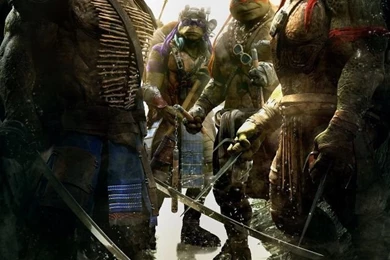 Teenage Mutant Ninja Turtles 2014 Movie HD Desktop Wallpapers ...