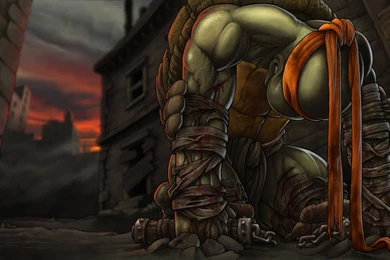 Ninja Turtles Wallpapers Awesome 242 Widescreen