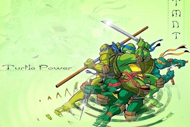 Turtle Power   Teenage Mutant Ninja Turtles Wallpapers (12839241 ...
