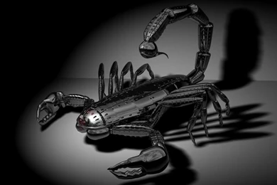 1024x768 Chrome Scorpion Desktop PC And Mac Wallpapers