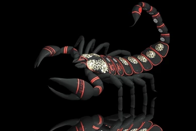 Scorpion Wallpapers 168431