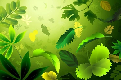 Wallpapers Tagged With GREEN
