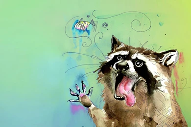 108 Raccoon HD Wallpapers