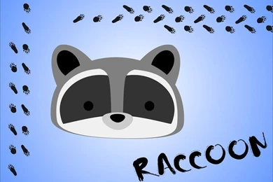 Bear Series: Raccoon Wallpapers By Stephy McFly On DeviantArt