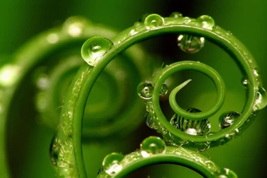 Green water wallpapers green water hd.jpg