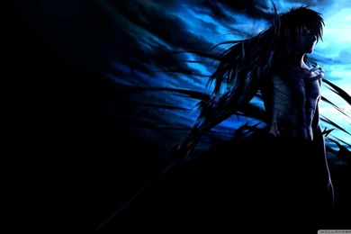 Ichigo Mugetsu HD Desktop Wallpapers : Widescreen : High Definition ...