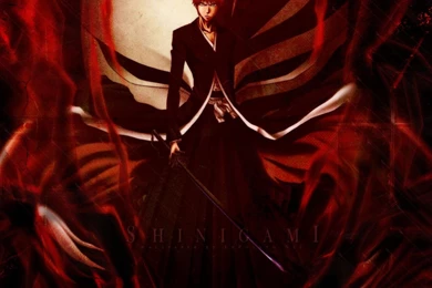 Minitokyo Anime Bleach Manga Shinigami HD Wallpapers Wallpapers ...