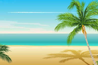 Palm Tree Wallpapers
