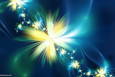 Flower Desktop Wallpapers   185248