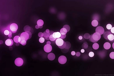 Purple Color Light Design 2014 Wallpapers