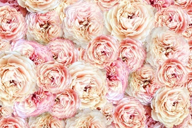 An Easter Treat: Spring Wallpapers 2013