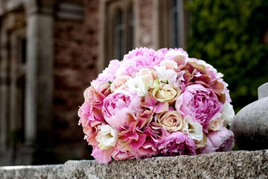 Download Peonies Flower Wallpapers 7362 2880x1800 Px High ...