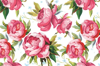 2560x1600 Figure, Art, Peonies, Petals, Buds Wallpapers And ...