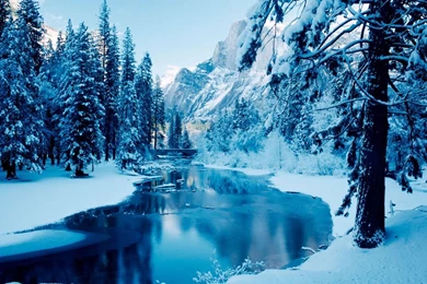 Cool Winter Wallpapers Free To Download
