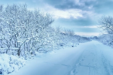 Download Wallpapers 1920x1080 Snow, Trees, Road, Traces, Winter ...
