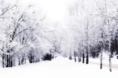Winter Backgrounds Wallpapers   754596