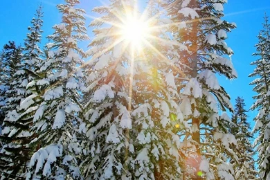 1080x1920 Winter Landscape Snow Wallpapers HD