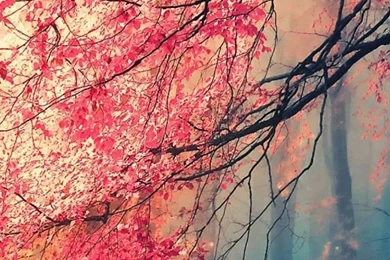 Search   All Page   2