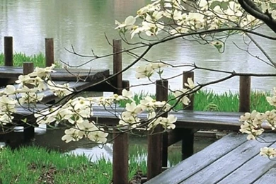 640x1136 Japanese Garden & Lake Iphone 5 Wallpapers