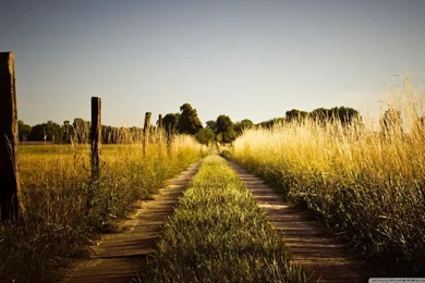Country Road, Late Summer HD Desktop Wallpapers : High Definition ...