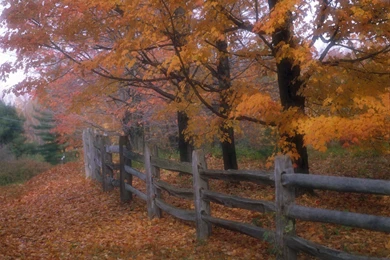 Country Fence Wallpapers   26275