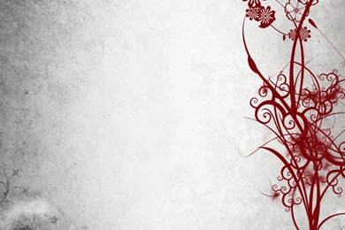 Abstract Flowers Black White Hd Wallpapers   (