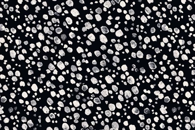 The Desktop Wallpapers Project