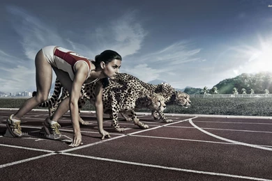 Athlete Against Cheetah Wallpapers Digital Art Wallpapers